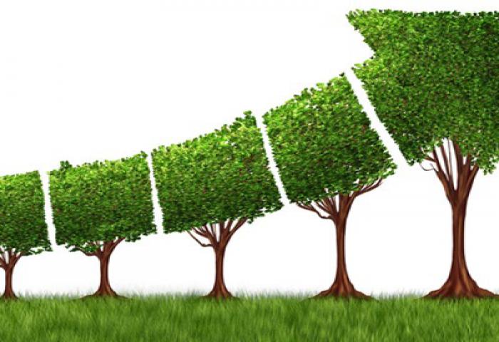 ADB: Investasi dan Ekspor Dapat Menjaga Momentum Pertumbuhan Indonesia